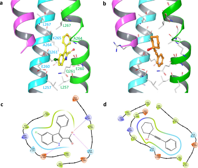 Fig. 5: Crystal structures of MITF in complex with fragments 3 and 4.