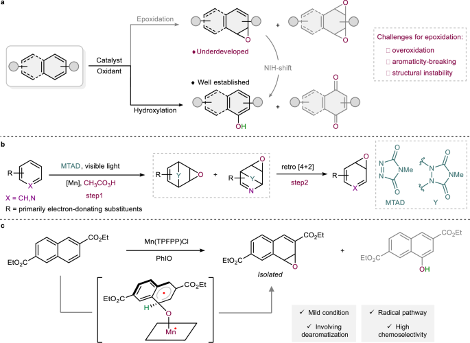 Fig. 1: The development of oxidative functionalization of arenes.