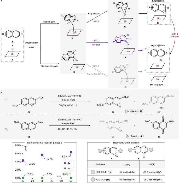 Fig. 3: Mechanistic consideration.
