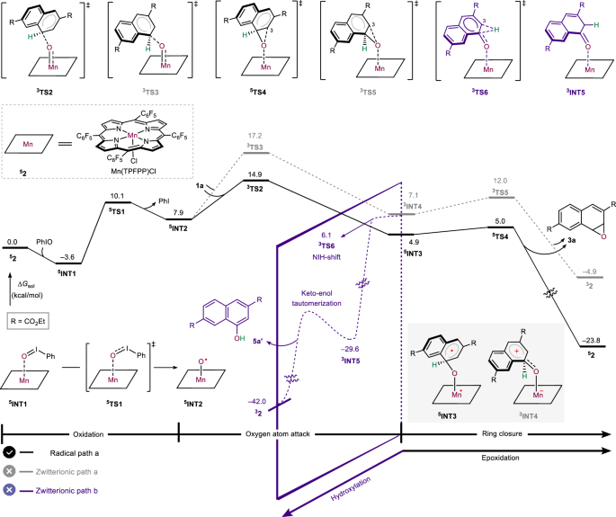 Fig. 4: DFT calculated free energy profile of oxidative functionalization of arene 1a.