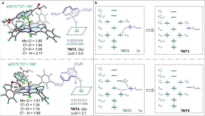 Fig. 5: Comparative analysis of intermediates 5INT3 and 3INT4.