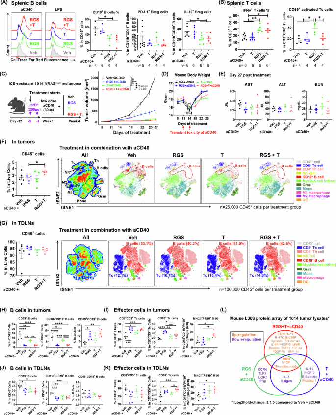 Fig. 4: RAS/MEK/PI3K inhibition selectively attenuated aCD40-associated CD11b+ regulatory B cells (Bregs) and promoted T effector cell activity.