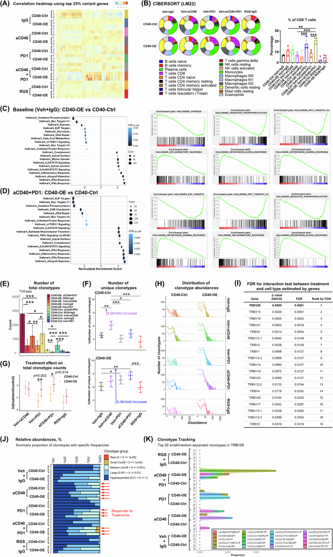 Fig. 7: Treatment-responding NRASmut 1014 tumors exhibited an inflammatory tumor microenvironment with elevated CD8+ T cell responses and expansion of selective T cell clonotypes.