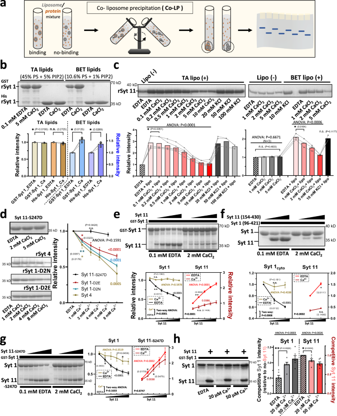liposomal glutathione interactions Frontiers main image 1