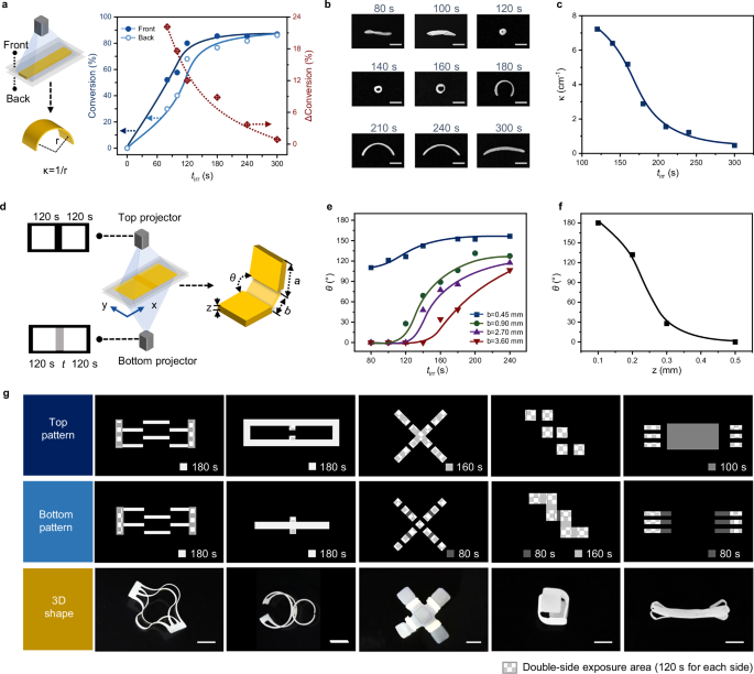 Fig. 2: The modulation of generating the 3D geometries.