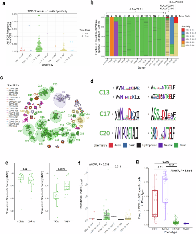Fig. 2: The CD8+ T cell response to HLA-A2-restricted epitopes is public, immunodominant and diverse.