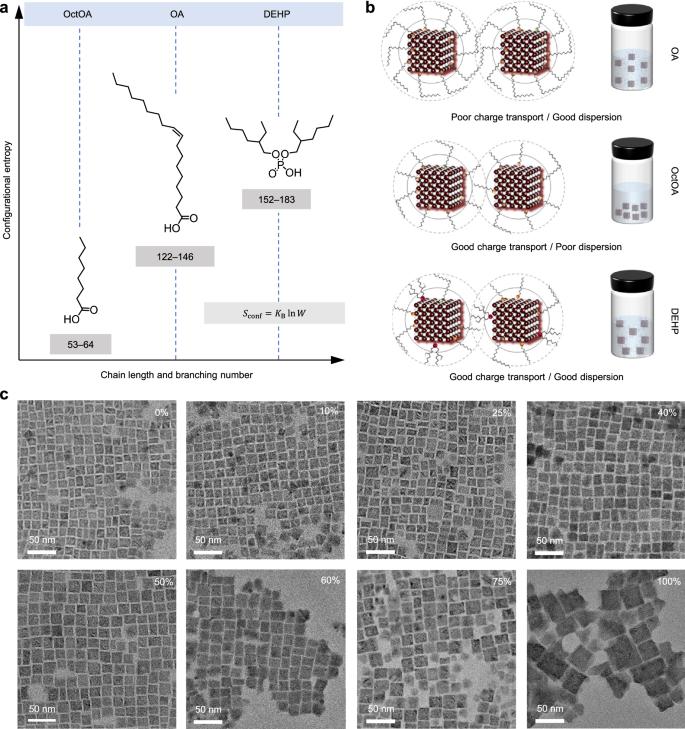 Fig. 1: Entropy-driven ligand design.
