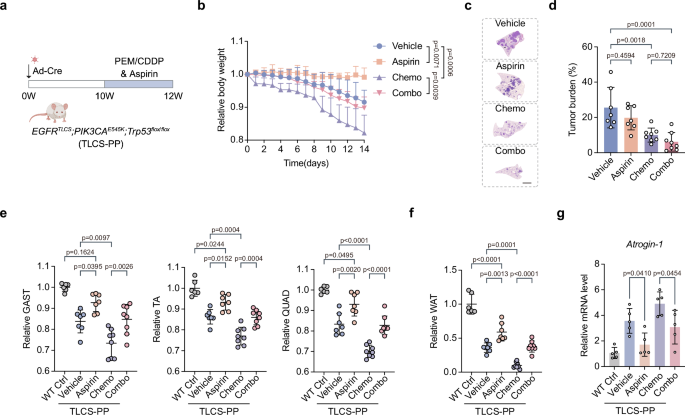 Fig. 6: Aspirin ameliorates cachexia driven by PIK3CA mutant.