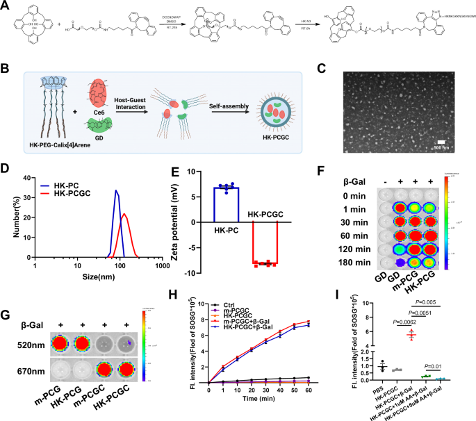 Fig. 2: Characterization of the nanoparticles.