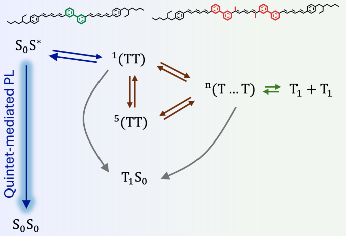 Fig. 5: Overview of high-spin state generation pathways and the optical back-pathway.