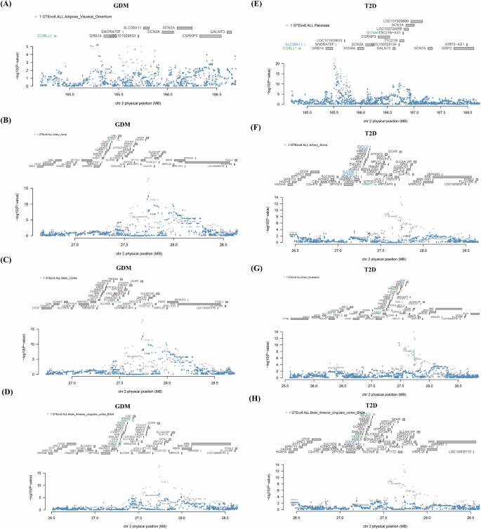 Fig. 3: The fusion-cojo analysis plots for identified shared genes for GDM and T2D.