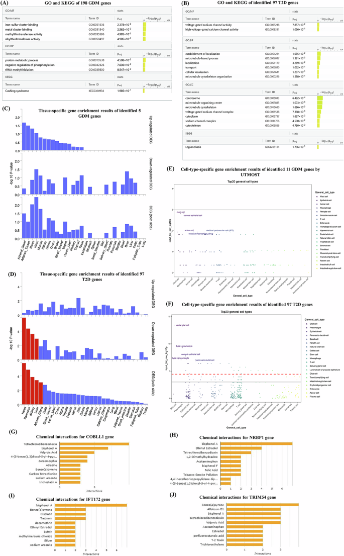 Fig. 6: Biological function of the identified GDM and T2D genes.
