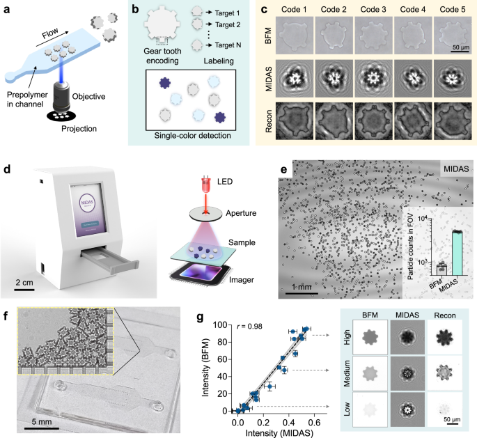 Fig. 2: MIDAS platform.