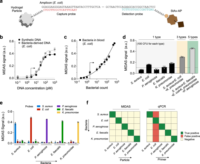 Fig. 5: Differential detection of bacteria using the MIDAS assay.