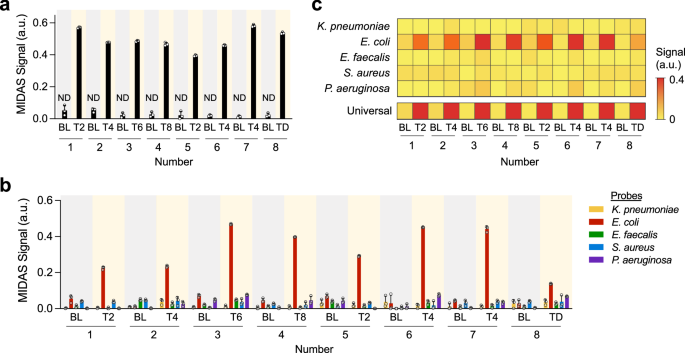 Fig. 6: MIDAS validation for bacterial pathogen detection in a swine model of sepsis.