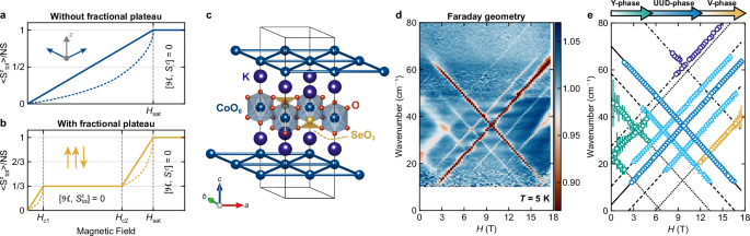 Fig. 1: Magnetization plateau and far-infrared magneto-spectroscopy measurements of 
                      $${{{{\rm{K}}}}}_{2}{{{\rm{Co}}}}{({{{{\rm{SeO}}}}}_{3})}_{2}$$
                      
                        
                          
                            K
                          
                          
                            2
                          
                        
                        Co
                        
                          
                            
                              (
                              
                                
                                  
                                    SeO
                                  
                                  
                                    3
                                  
                                
                              
                              )
                            
                          
                          
                            2
                          
                        
                      
                    .