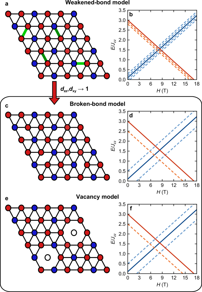 Fig. 3: Universality of the disorder-bond model and its correspondence with the vacancy model.