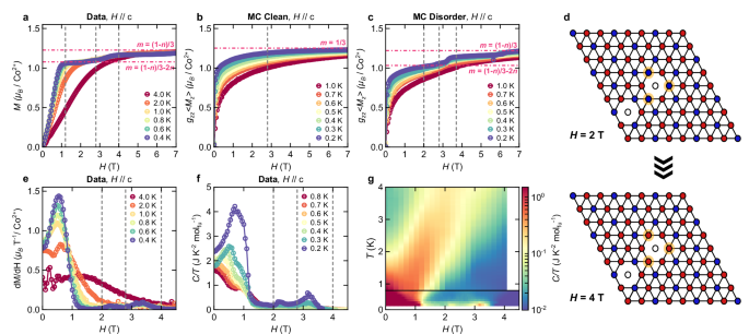 Fig. 5: Magnetization and specific heat of our crystals of 
                      $${{{{\rm{K}}}}}_{2}{{{\rm{Co}}}}{({{{{\rm{SeO}}}}}_{3})}_{2}$$
                      
                        
                          
                            K
                          
                          
                            2
                          
                        
                        Co
                        
                          
                            
                              (
                              
                                
                                  
                                    SeO
                                  
                                  
                                    3
                                  
                                
                              
                              )
                            
                          
                          
                            2
                          
                        
                      
                    .