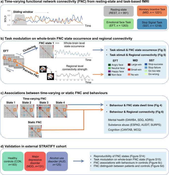 Fig. 1: Summary of analysis strategy.