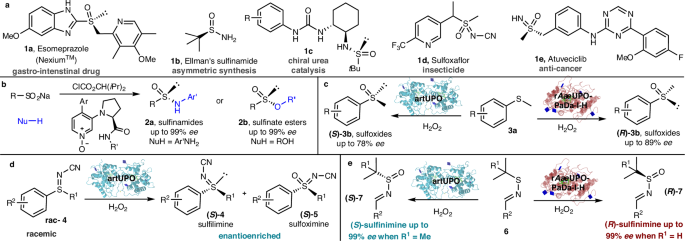 Fig. 1: Stereogenic-at-sulfur compounds and methods for their synthesis.