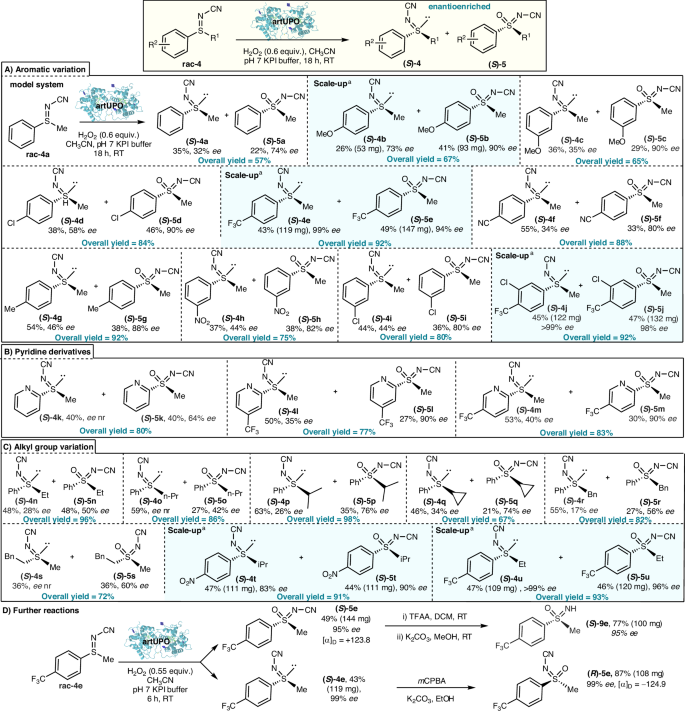 Fig. 2: Enantioselective sulfoximine synthesis via the UPO catalysed oxygenationof sulfilimines, using a kinetic resolution approach.