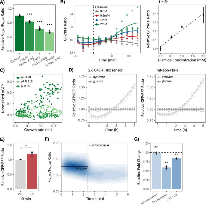 Fig. 2: Validation of mNeon sensing constructs functionality.