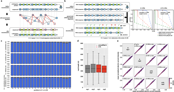 Fig. 3: RNA sequences and modification states are accurately annotated at single-molecule resolution in the DeepRM dataset.
