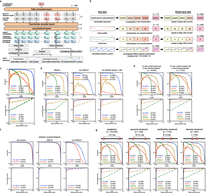 Fig. 4: DeepRM accurately detects m6A sites within diverse sequence contexts.