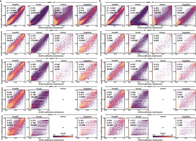 Fig. 7: DeepRM precisely quantifies m6A modification stoichiometry across the transcriptome at various sequencing depths.
