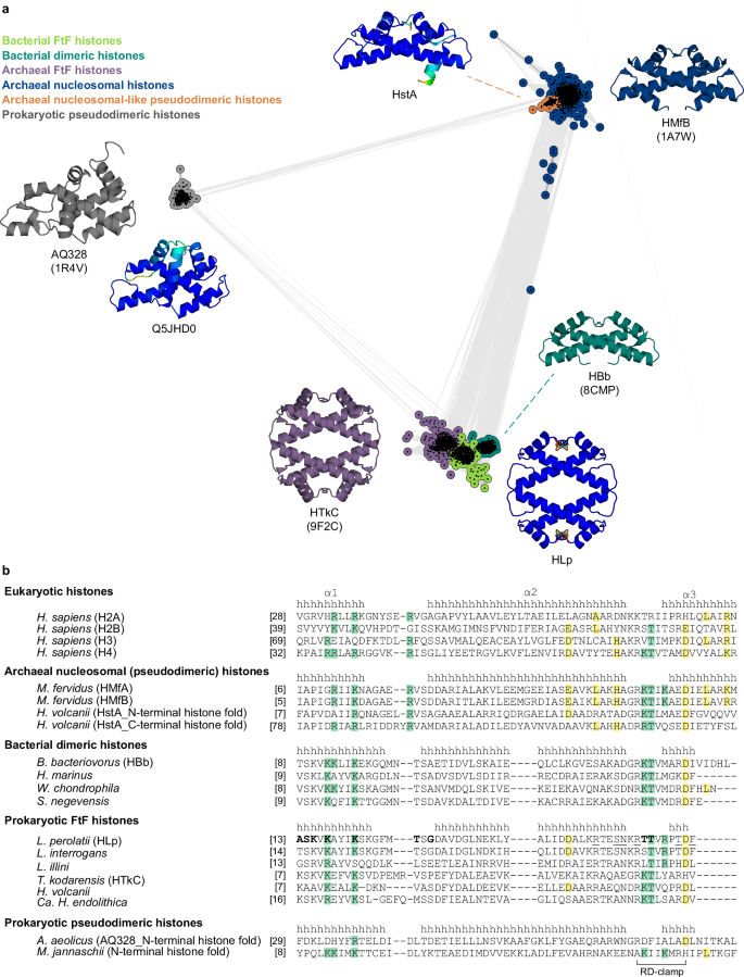 Fig. 1: Comparative analysis of prokaryotic histones composed exclusively of histone fold domains.