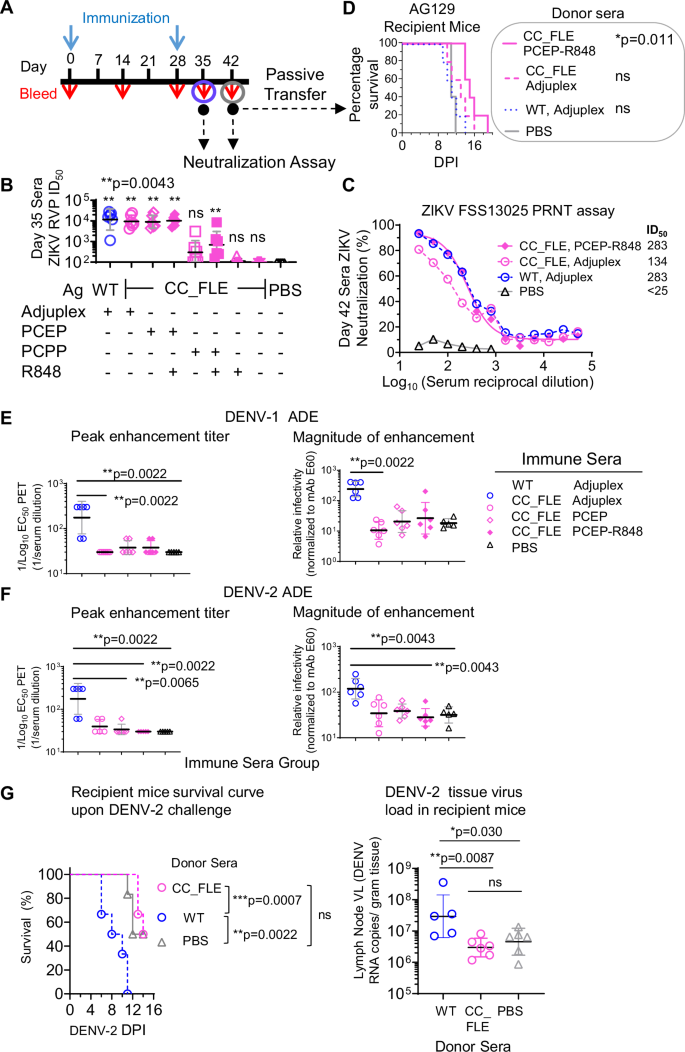 Fig. 5: Optimization of adjuvants for ZIKV sE immunogen and elimination of ADE effects.