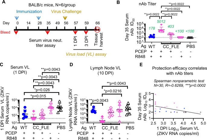 Fig. 6: In vivo efficacy study of ZIKV CC_FLE sE formulated in PCEP-R848 adjuvant in BALB/c mice.