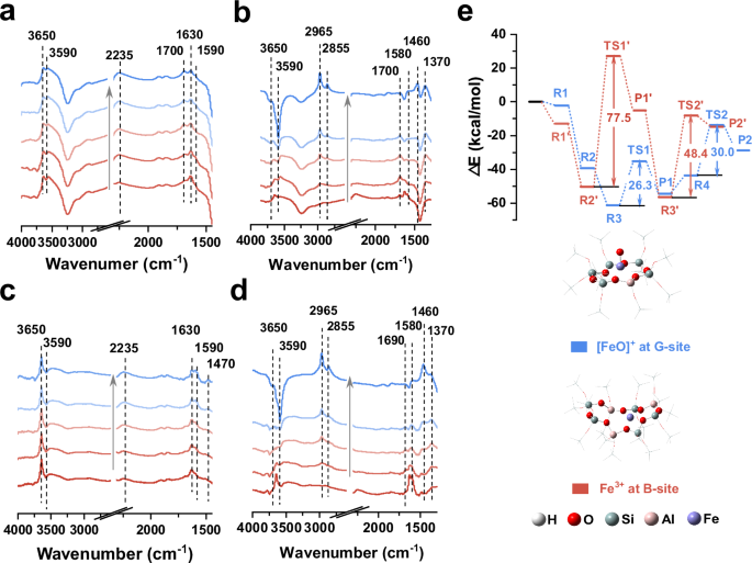 Fig. 5: The role of Fe sites in Methanol-SCR reaction.