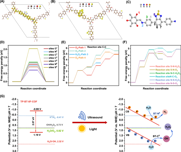 Fig. 6: DFT calculation and mechanism study.