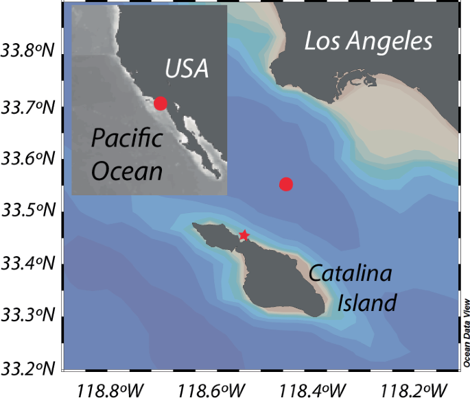 Fig. 1: Sampling location at the San Pedro Ocean Time Series within the Southern California Bight and off Catalina Island.