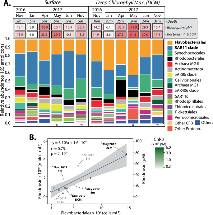 Fig. 4: Microbial picoplankton communities associated to rhodopsin dynamics in surface water at SPOT.