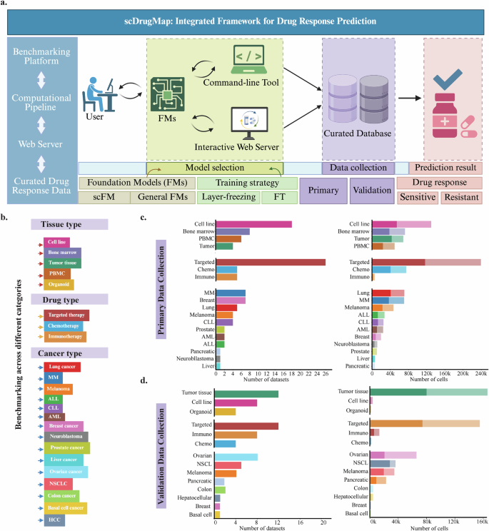 Fig. 1: Overview of the scDrugMap framework and curated datasets.