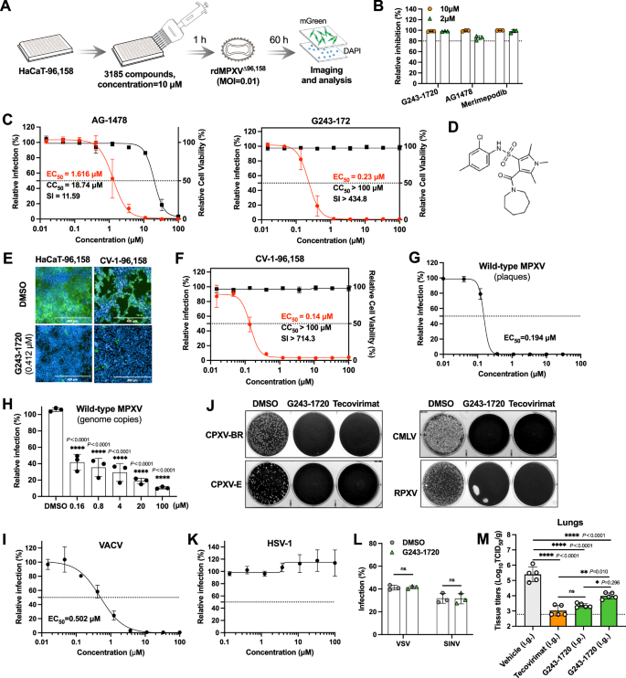 Fig. 3: Screening and validation of antiviral compounds using rdMPXVΔ96,158.