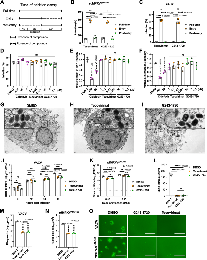 Fig. 4: G243-1720 inhibits the formation of EEVs and virus spread.