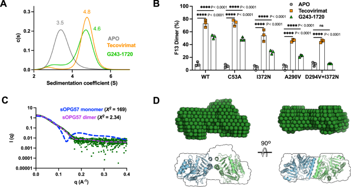 Fig. 6: G243-1720 stabilizes the sOPG57 dimer.