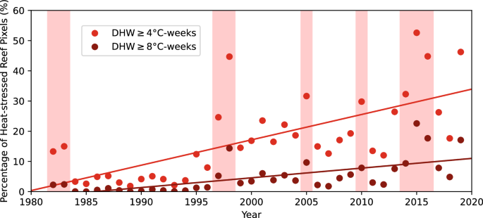 Fig. 5: Percentage of global reef pixels reaching DHW ≥ 4 and 8 °C-weeks calculated from the NOAA Optimum Interpolation Sea Surface Temperature (OISST), Version 2.167.