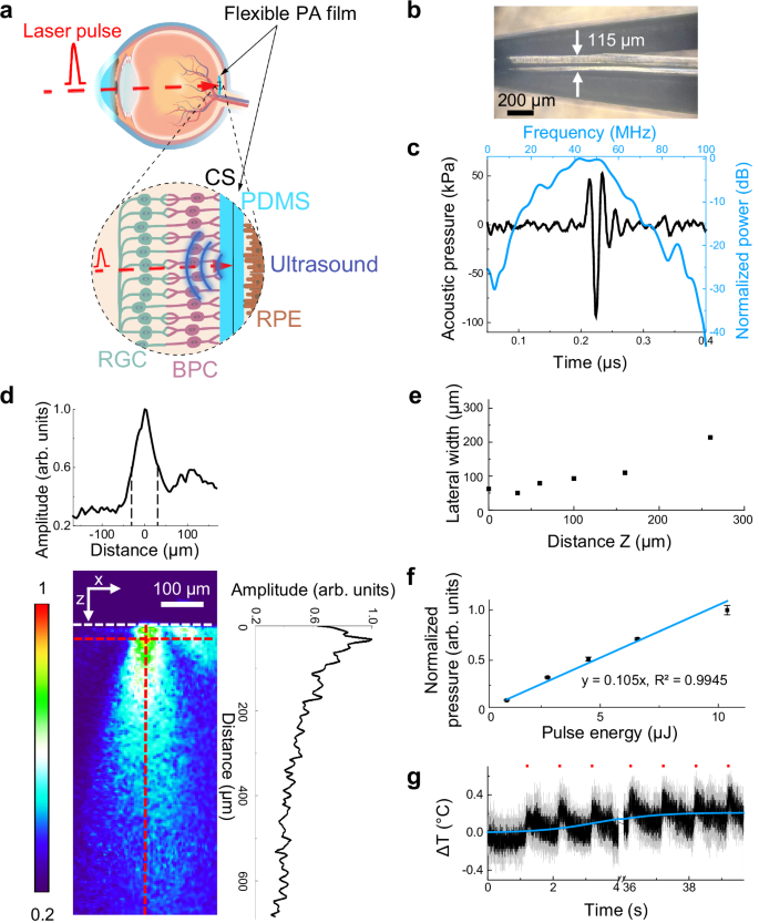 Fig. 1: Characterization of the flexible photoacoustic film.