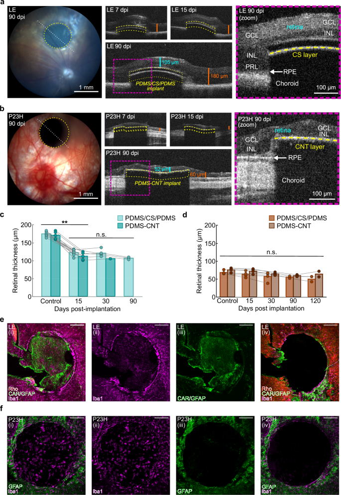 Fig. 6: In vivo photoacoustic implant biocompatibility.