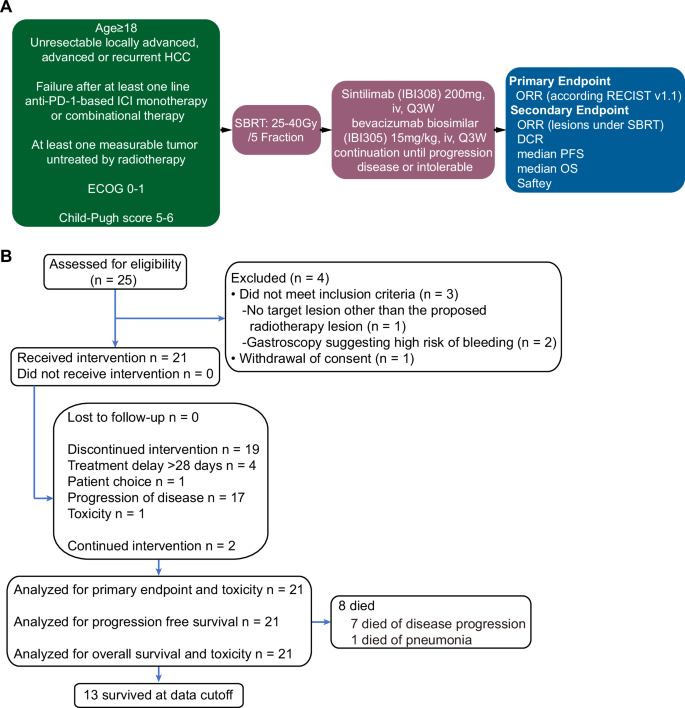Fig. 1: Trial protocol.