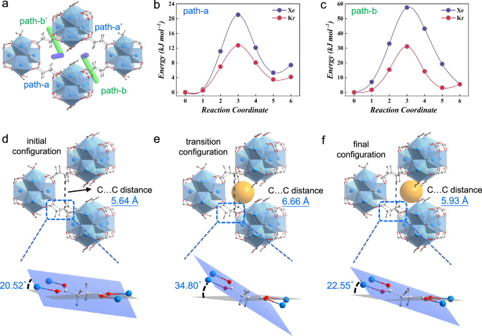 Fig. 5: Kinetically driven sieving mechanism of Kr over Xe in the activated MIP-203-Suc structure.