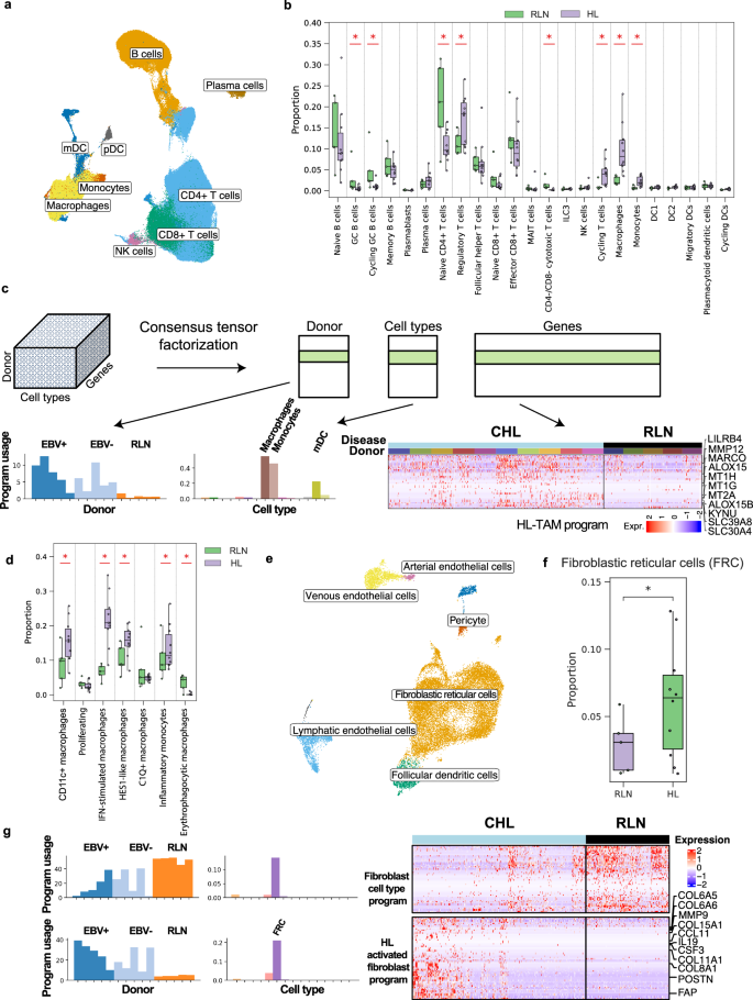 Fig. 2: Compositional and transcriptional remodeling of the immune microenvironment in Hodgkin lymphoma.