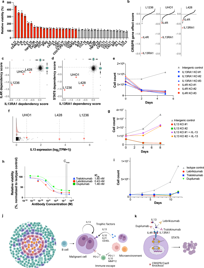 Fig. 4: Experimental validation of paracrine growth factors for Hodgkin-Reed Sternberg cells.