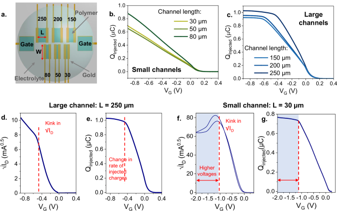 Fig. 2: A change in ion diffusion rate causes the kink.