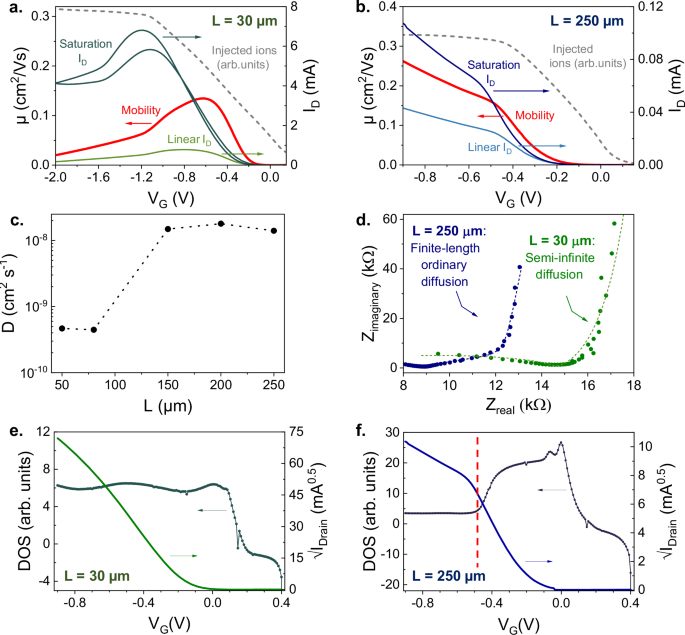 Fig. 3: Channel geometry determines whether an organic electrochemical transistor channel is&nbsp;volumetric or at the&nbsp;interphase.