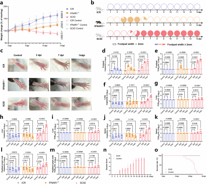 Fig. 3: Phenotypic and viral dynamics analysis after subcutaneous infection of MPXV clade IIb in different mouse models.